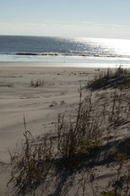 Sand Dunes With Grasses Growing And Ocean