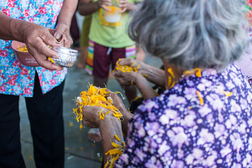 water pouring to old people in Songkran festival tradition of thailand