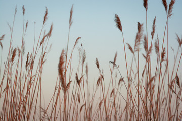 Naklejka na meble Lake 