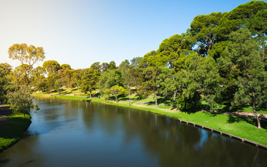 Wall Mural - Torrens river and riverbank garden and promenade view in Adelaide Australia