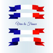 Ribbon icons flag of France on a light background Set Brochure banner layout with wavy lines of French flag ribbons and text Viva la France Patriotic abstract wavy tricolor france theme Vector icon