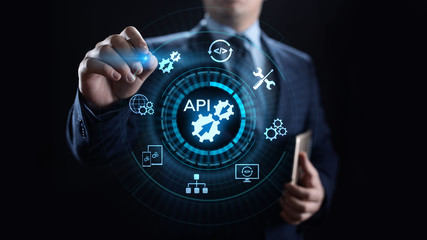 Wall Mural - api application programming interface development technology concept.