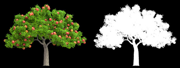 Wall Mural - a red apple tree isolated 3d illustration