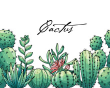 Poster With Seamless Ornament Hand Drawn Colored Lettering, Cacti And Succulents