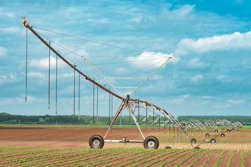 Wall Mural - Pivot irrigation system in cultivated soybean and corn field