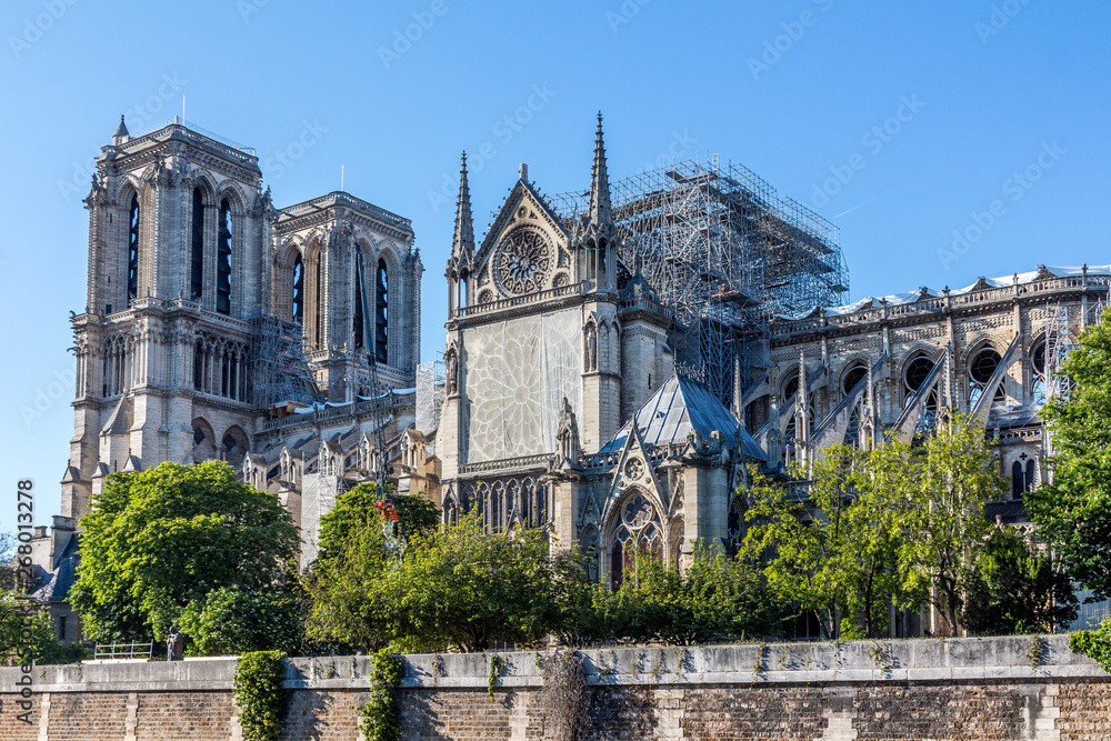 La Cathédrale Notre-Dame de Paris 1 mois après l'incendie - obrazy, fototapety, plakaty 