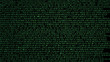 A wall made of thick obfuscated source code (computer program instructions), green characters over a black screen, old terminal style.