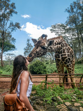 Woman Kissing Adult Giraffe During Daytime