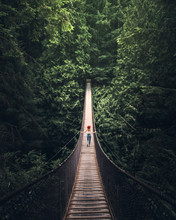 woman walking on hanging bridge at middle of forest