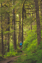 Woman Walking On Pathway Between Tall Trees