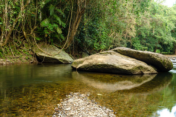 Reflections in a rain forest creek Far North Queensland