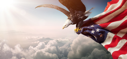 eagle with american flag flies in freedom