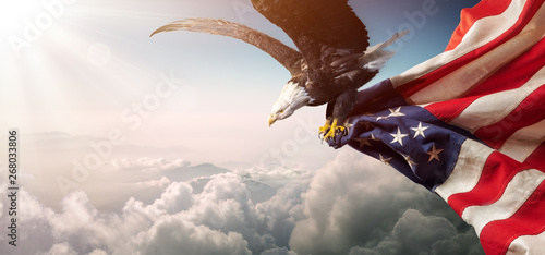 Eagle With American Flag Flies In Freedom Poster Mural XXL
