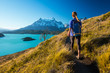 Woman hiker walks on the trail in the Torres del Paine National Park. Chile