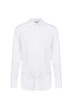 © Lidiya - White blank classic shirt