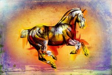 Original Oil Painting Of A Fine Arabian Horse