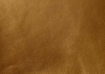  Texture of genuine leather. Green color background.