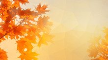 Colorful Maple Leaves On The Background Of Sunny Autumn Sky