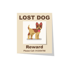 Lost dog. Reward for the find. Missing poster. Lost puppy poster. Sheet with the announcement of disappearance of pet on bulletin board. Vector illustration flat design. Isolated on white background.