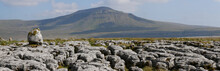 Limestone Pavement - An Area Of Limestone Eroded By Water - On Scales Moor In The Yorkshire Dales, UK, With Ingleborough In The Background