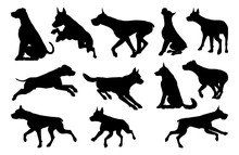 A Set Of Detailed Animal Silhouettes Of A Pet Dog