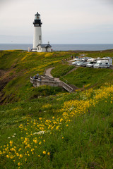 Wall Mural - lighthouse on coast of sea