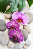 Fototapeta Dziecięca - Spa stones with orchids