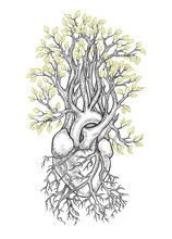 Stylized Tree With Anatomical Heart In The Roots