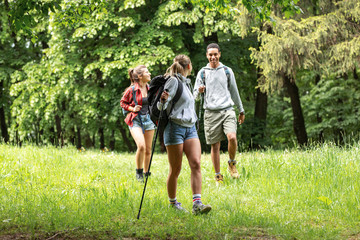 Wall Mural - group of friends hiking in nature.they walking trough forest and meadows.