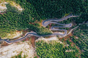 Wall Mural - Serpentine road