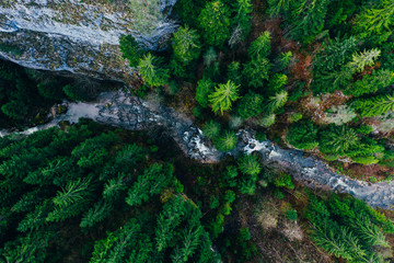 Wall Mural - Creek winding through cliffs and forests seen from a drone