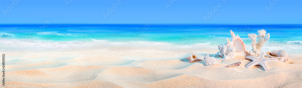 seashells on seashore - beach holiday background.. - obrazy, fototapety, plakaty 