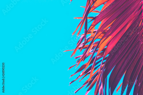 Copy space pink tropical palm tree on sky abstract background. Summer vacatio...