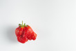 Ugly strawberry isolated at white background. Strange strawberry looks like elephant head. Copy space