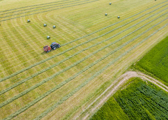 Sticker - Aerial view of tractor harvesting green hay from meadow.