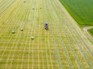 Canvas Print - Aerial view of tractor harvesting green hay from meadow.