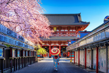 asian woman wearing japanese traditional kimono at temple in tokyo, japan.