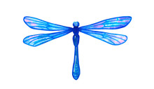 Blue Dragonfly. Hand Drawn Watercolor Illustration. Isolated On White Background.