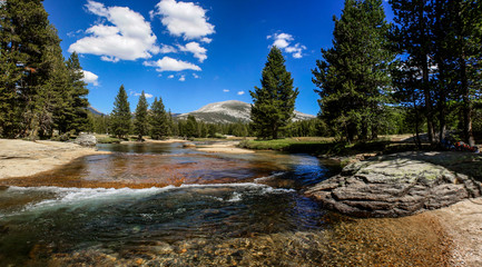 Wall Mural - River in Lyell Canyon While Backpacking to Vogelsang High Sierra Camp in Yosemite National Park in California