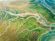 Aerial View Of A Marshes
