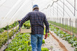 © Michela Ravasio/Stocksy - Man working in greenhouse