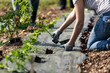 © Sean Locke Photography/Stocksy - Farm: Woman Placing Young Tomato Plants Spaced Apart