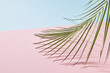 © Yaroslav Danylchenko/Stocksy - Leaves of palm tree isolated on a double pink blue background