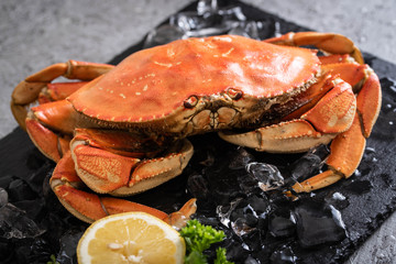 boiled dungeness crab image