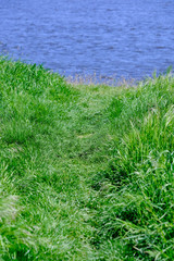 Wall Mural - Path through the grass to the river