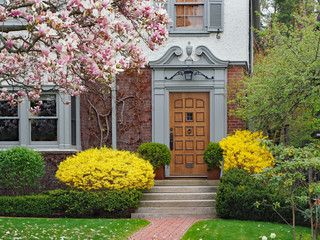 Poster - Elegant wooden front door of house with magnolia tree and forsythia bushes in bloom