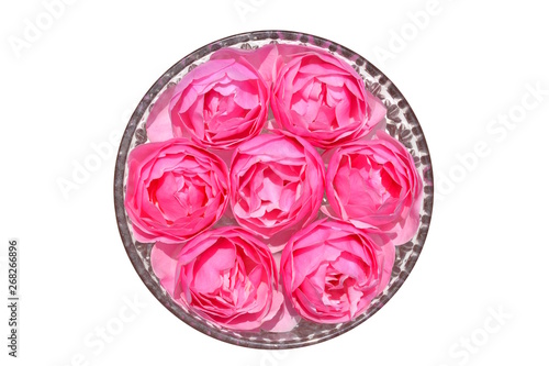 ガラスの器に浮かべたかわいい薔薇 ピンクの花 白背景 Adobe Stock でこのストック画像を購入して 類似の画像をさらに検索 Adobe Stock