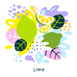 Fresh lime tropical exotic citrus fruits juice splash organic food juicy splatter limes on abstract background vector hand drawn illustrations