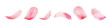 Leinwandbild Motiv Set of pink peony petals