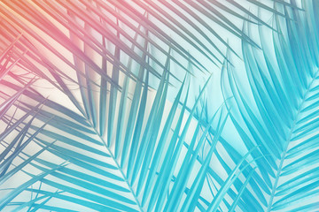 Tropical palm leaves in vibrant neon gradient, holographic colors. minimal art concept.